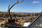 Successful Elk Hunters