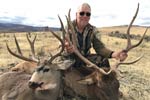 Rifle Mule Deer and Bull Elk