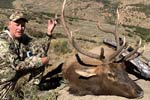 Archery Bull Elk